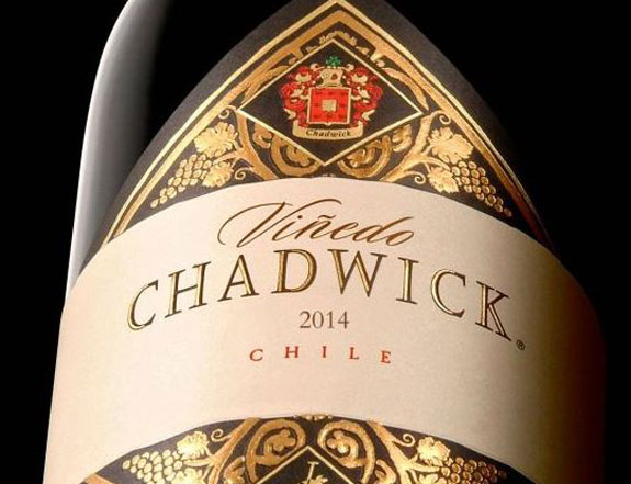 Vinedo Chadwick