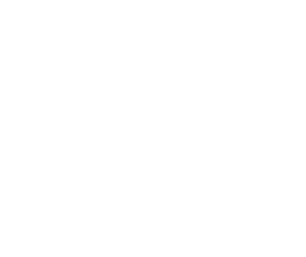 Monkey 47