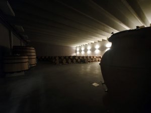 Acustic Celler
