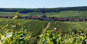 Bertrand-Delespierre