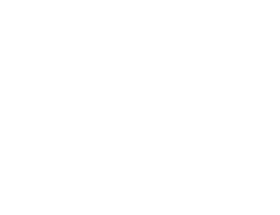Bodega Norton