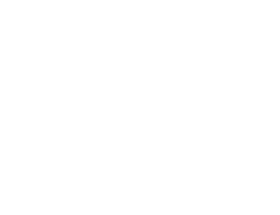 Château de Saint Cosme