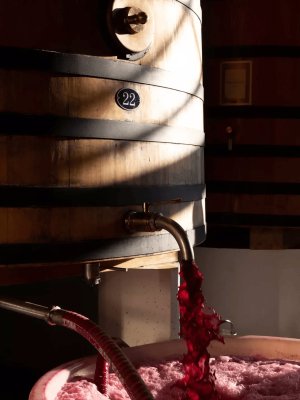 Château Lafite Rothschild