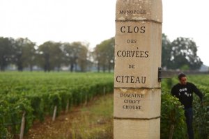 Domaine Chavy-Chouet