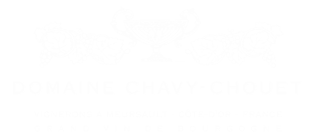 Domaine Chavy-Chouet