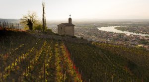 Domaine de la Chapelle