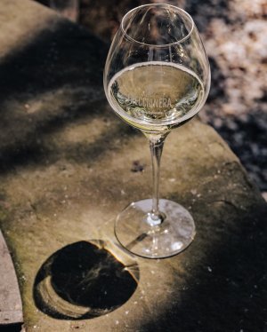 Freccianera by Fratelli Berlucchi