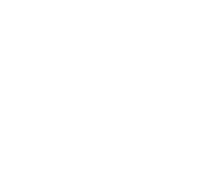 Lacto Milk Stout