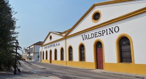 Valdespino