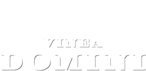 Vinea Domini