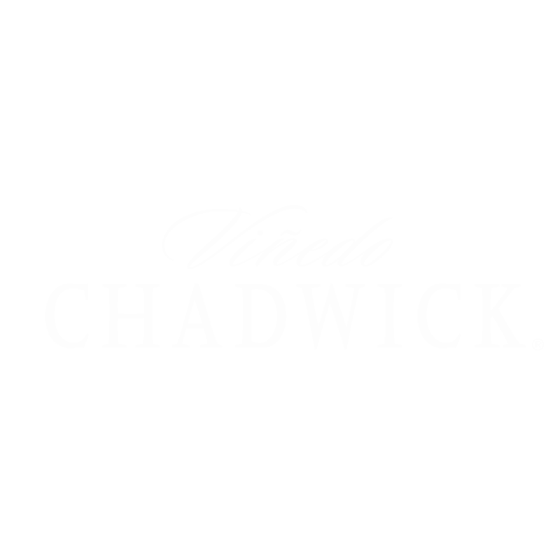 Vinedo Chadwick
