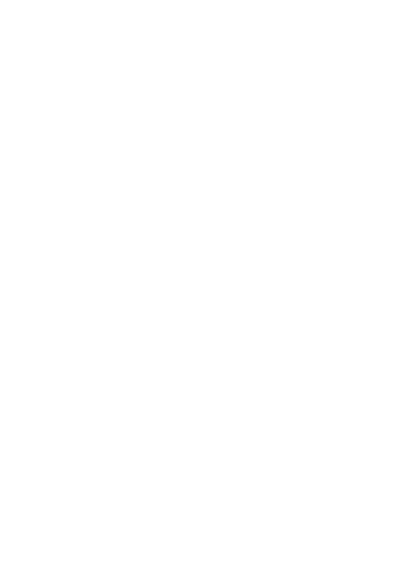 Soltoro Quality Lager