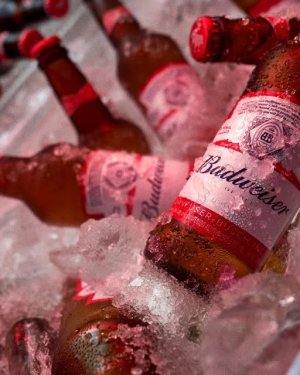 Budweiser