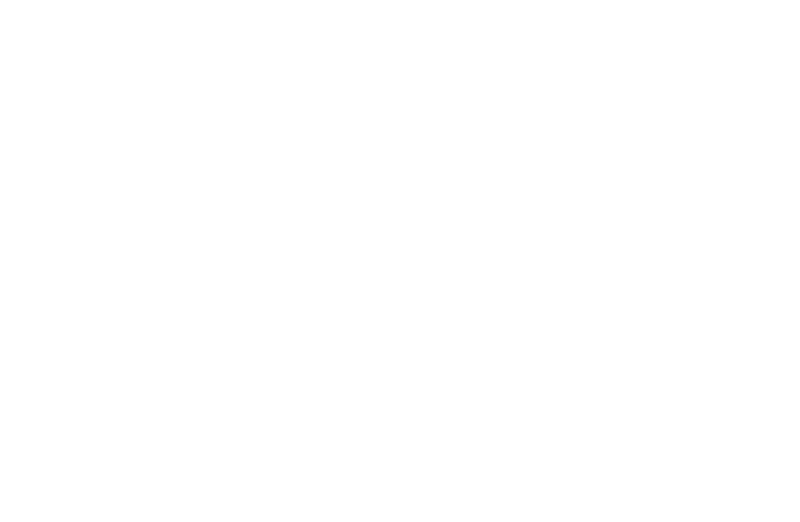 San Michel Fruitwaves